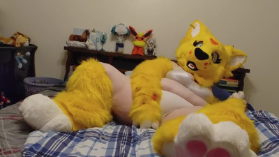 Furry uses Dildo to get off