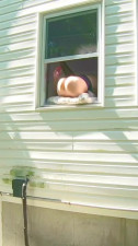 HORNY dildo orgasm squirting out of window while neighbors are outside!