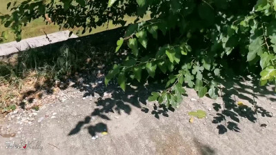 Couple caught having sex in a public park