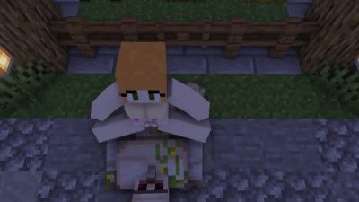 The first erotic journey to the world of minecraft