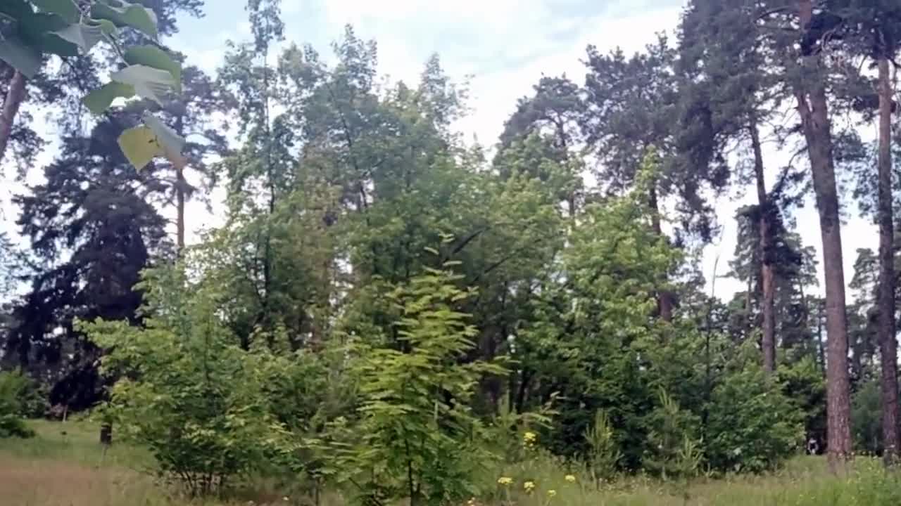 Watch Risky Pussy Show in the Large Public Park. Part 1 Short Sex Videos - Duration: 05:32 | ePornNEW.
