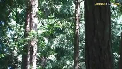 Watch This is where I secretly have sex with my sister Short Sex Videos - Duration: 36:56 | ePornNEW.