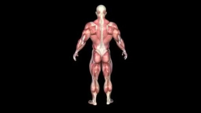 Truly Impressive Street Workout