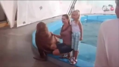 Walrus is Getting all Up in Dat Ass