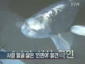 Human face fish