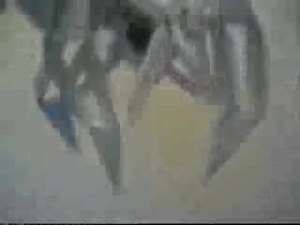 Realistic Movement