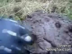 Poop for Breakfast