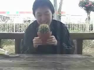 Watch Insane Cactus Eater Short Sex Videos - Duration: 01:00 | ePornNEW.