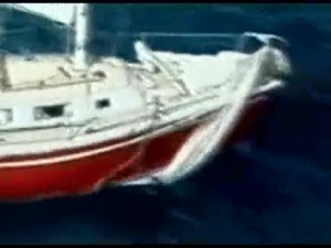 Boat Vs Wave