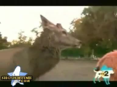 Watch Humping Lama Short Sex Videos - Duration: 00:43 | ePornNEW.