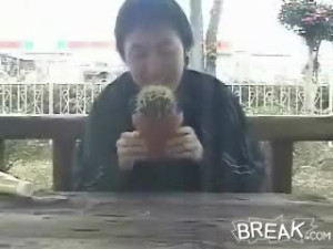 Cactus Eater