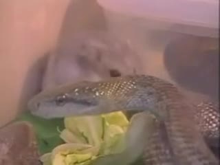 Watch Their Friends Short Sex Videos - Duration: 01:10 | ePornNEW.