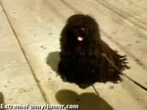 Fro master!