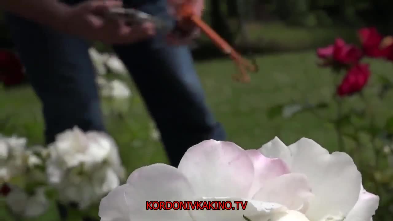 Watch Beauty And The Senior 6- Full Movie Short Sex Videos - Duration: 01:50:00 | ePornNEW.