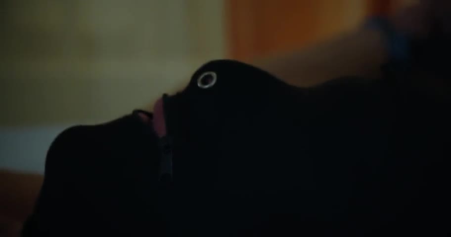 Watch Mistress Mariza gives femdom blowjob Short Sex Videos - Duration: 17:22 | ePornNEW.