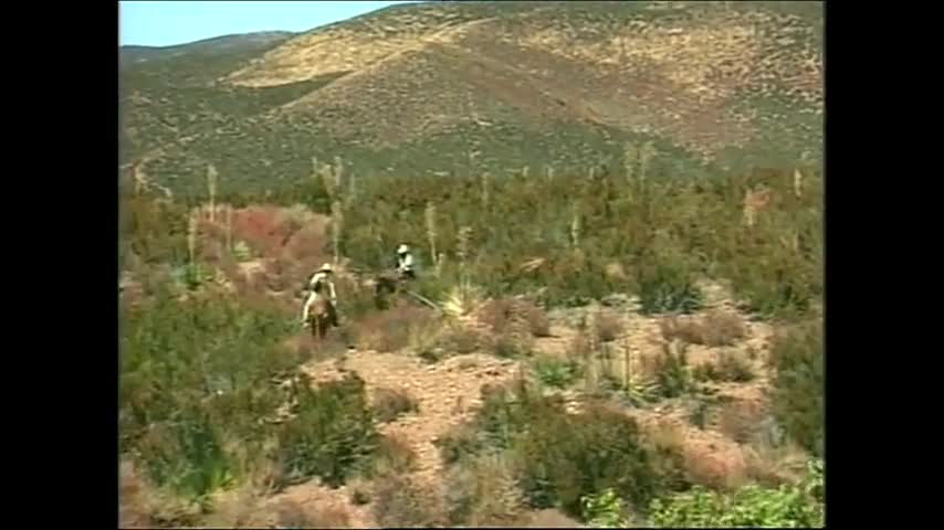 Watch Raunch Ranch (USA 1995, Kaitlyn Ashley, PJ Sparxx) (480) Short Sex Videos - Duration: 01:27:28 | ePornNEW.