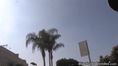 Tori Black - Race Relations 2