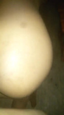 Pretinha L.B dando o cuzinho GOSTOSO
