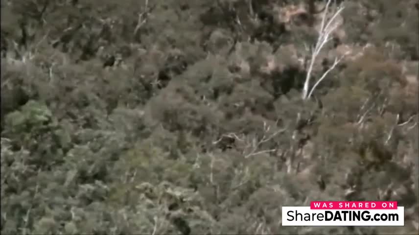 Watch Living  in the Australian Bush as a Naturist Short Sex Videos - Duration: 04:40 | ePornNEW.