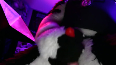 Police Dog Cumshot