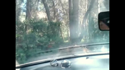 4_WAU blowjobs and fucking outdoor